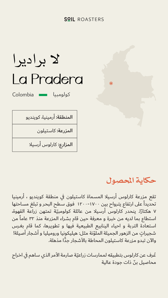 Colombia - La Pradera (Luxury Lot) 250G - Soil Roastery