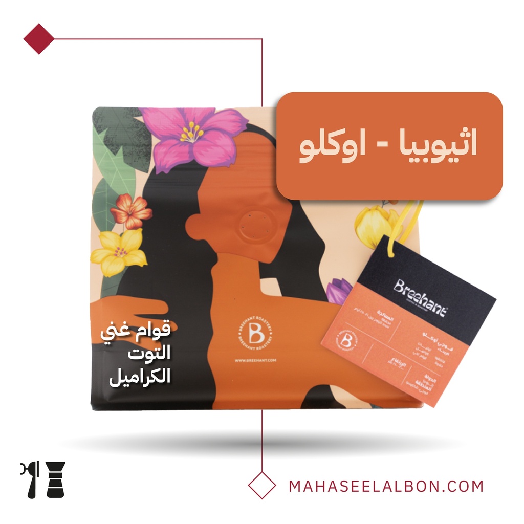 Ethiopia - Oklo - 250g - Breehant Roastery