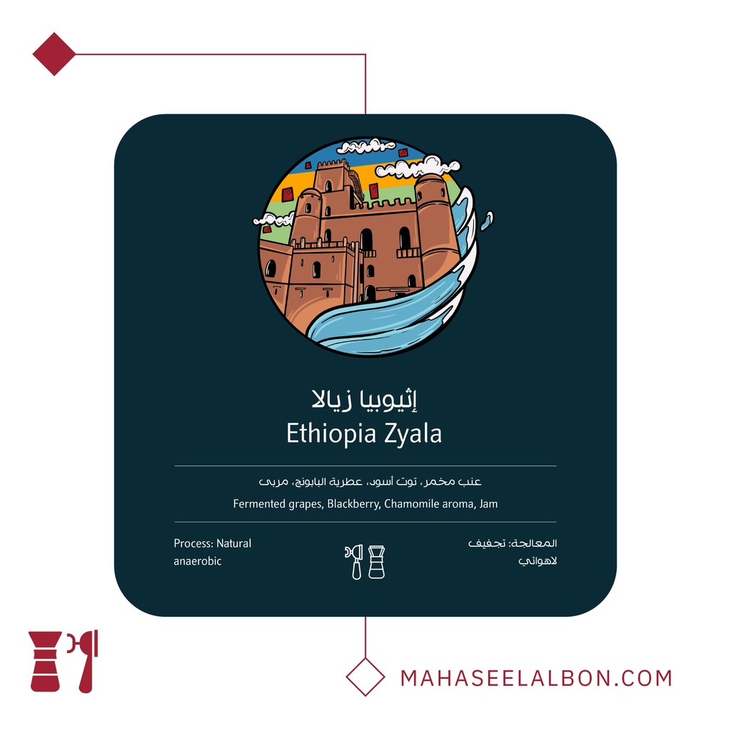 Ethiopia Yirgachev, Zyala - 250g - Ostool Albon Roastery