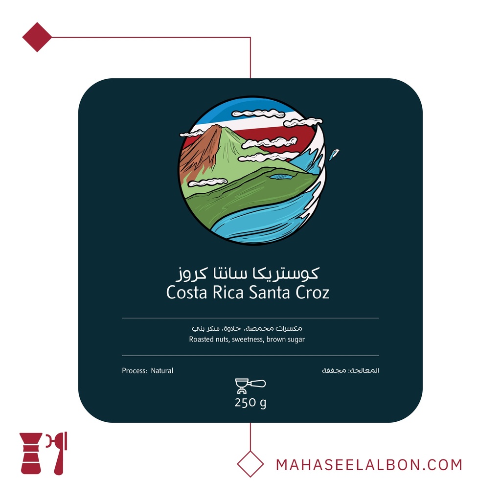 Costa Rica Santa Cruz - 250g - Ostool Albon Roastery 