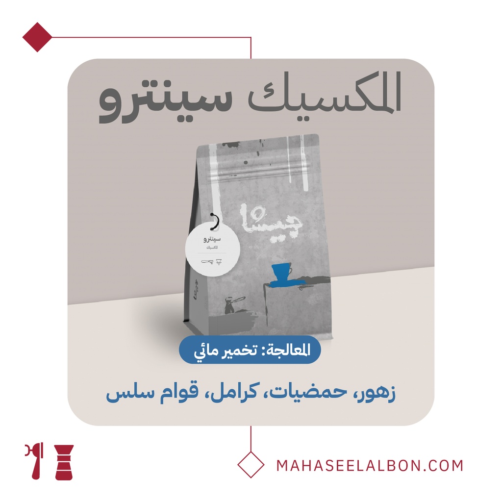 Mexico - Centro - Geisha Roastery