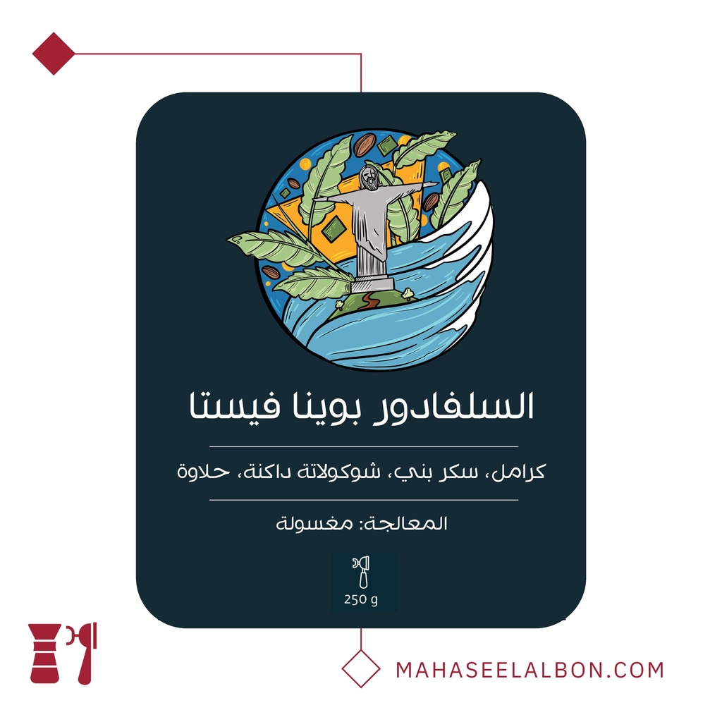 السلفادور بوينا فيستا - ٢٥٠  جرام - محمصة أسطول البن