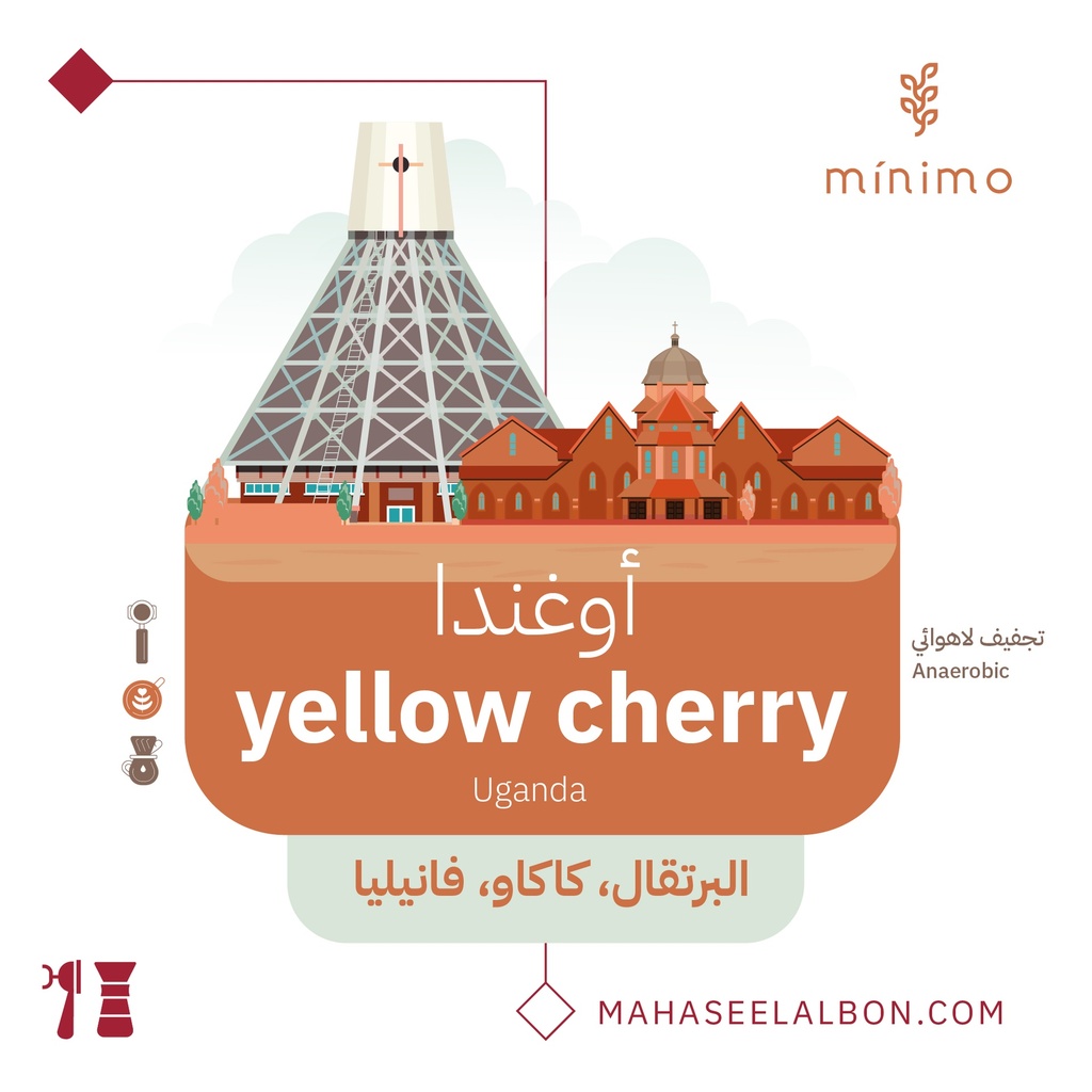 Uganda Yellow Cherry - 250g - Minimo Roastery