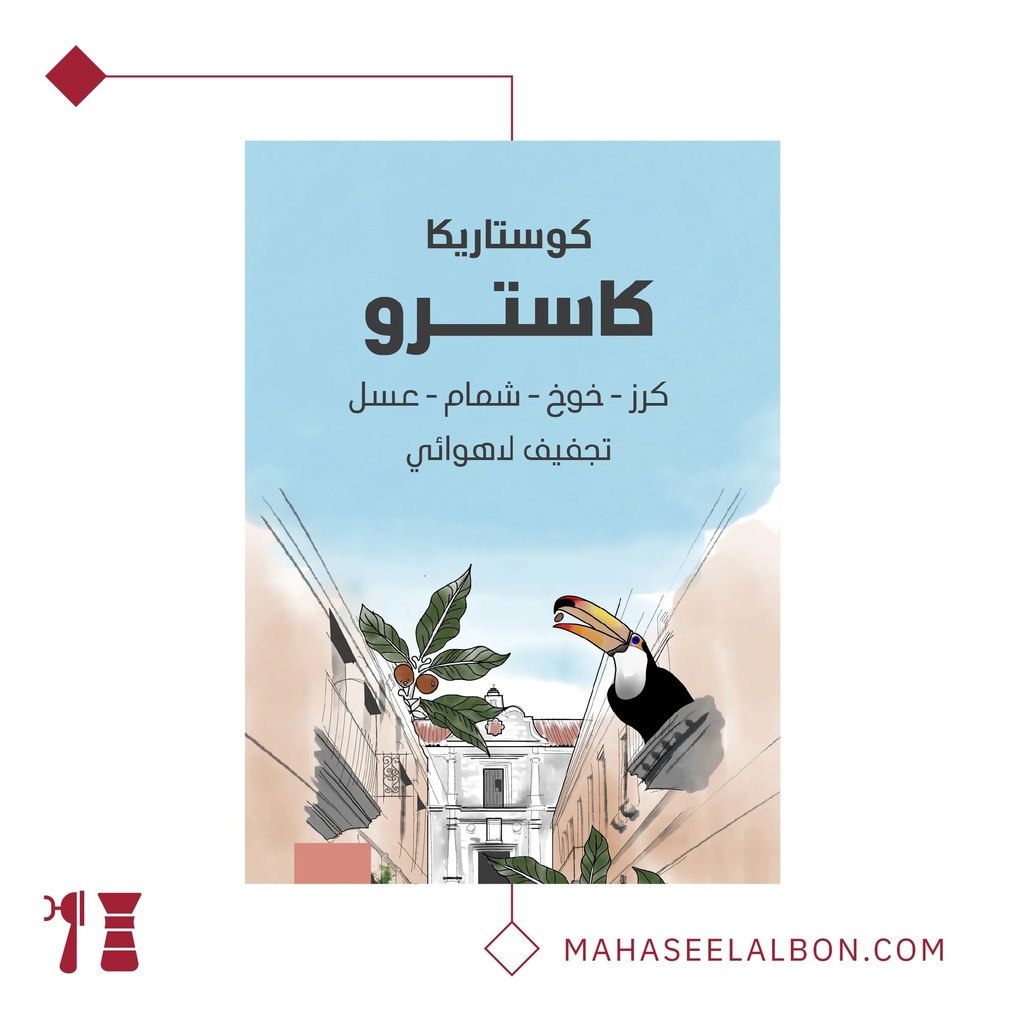 كوستاريكا - كاسترو ١  كيلو - محمصة سراج