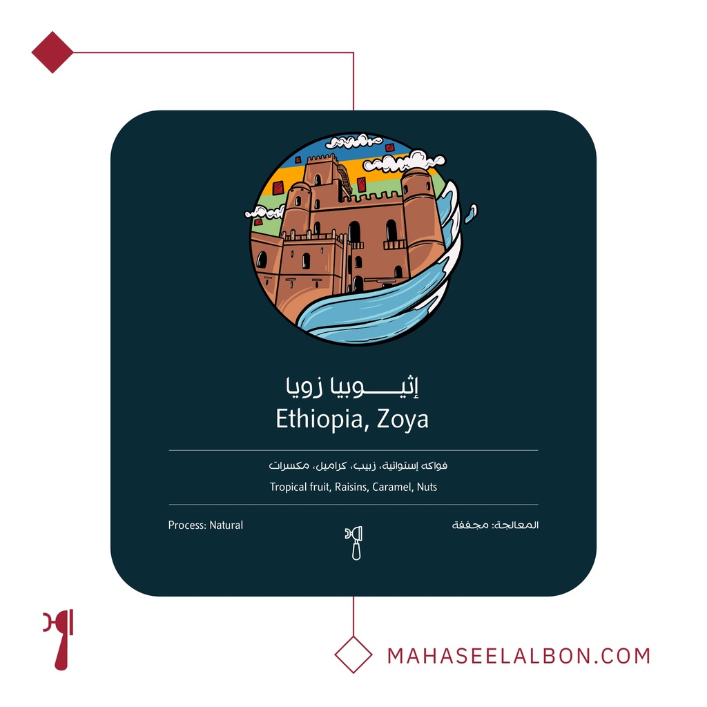 اثيوبيا زويا - ٢٥٠  جرام - محمصة أسطول البن