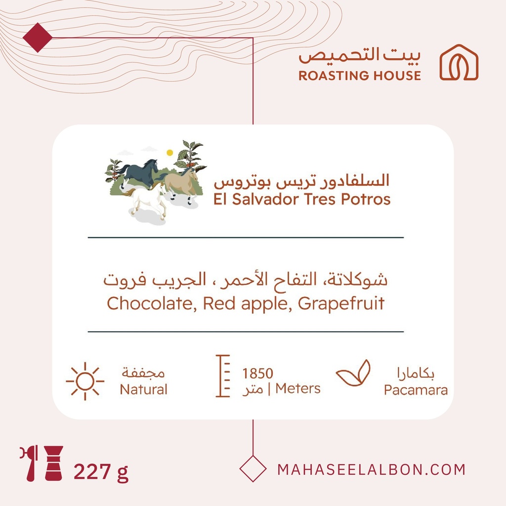 السلفادور-تريس بوتروس - ٢٢٧  جرام - محمصة بيت التحميص