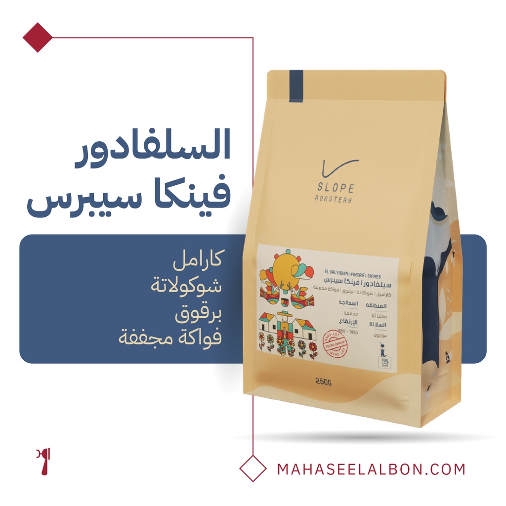 السلفادور - فينا سيبرس - ٢٥٠  جرام - محمصة سلوب