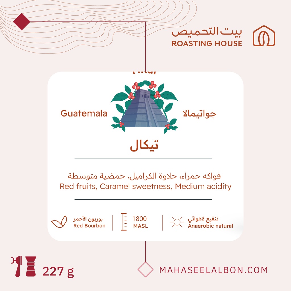 جواتيمالا -تيكال - ٢٢٧  جرام - محمصة بيت التحميص
