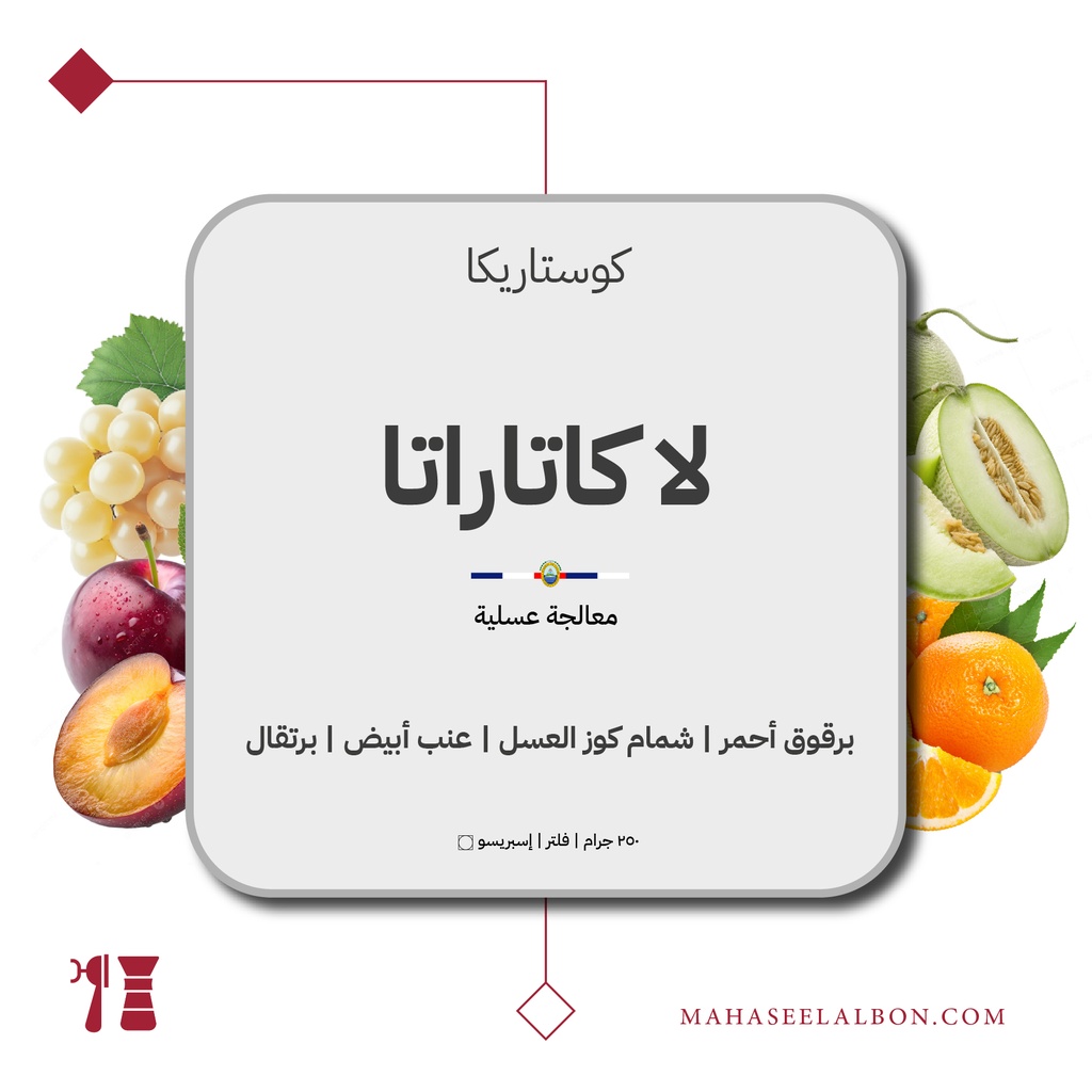 Costa Rica -  La Catarata  - 250 G - Azura Roastery