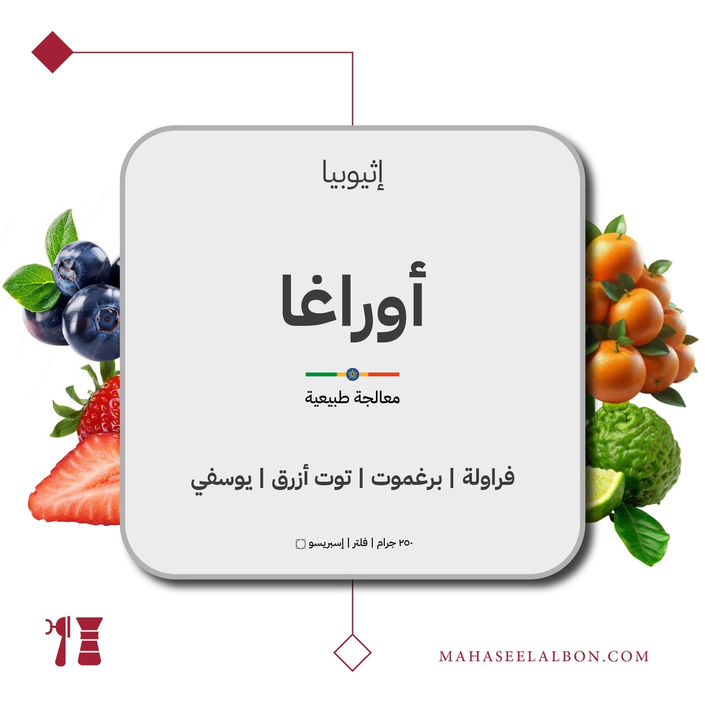 إثيوبيا - أوراغا - ٢٥٠  جرام - محمصة أزورا