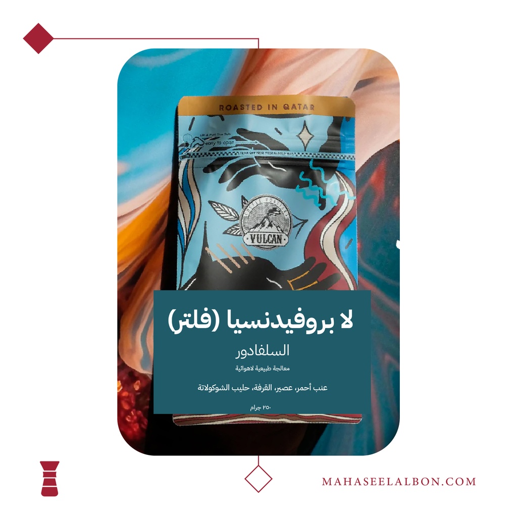 السلفادور – لا بروفيدنسيا (فلتر) - ٢٥٠  جرام - محمصة فولكان