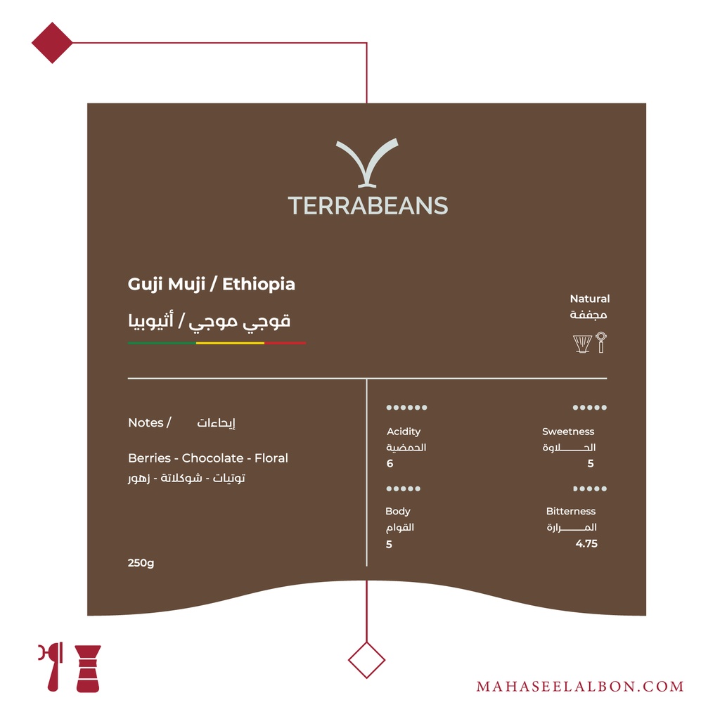 إثيوبيا - قوجي موجي - ٢٥٠  جرام - محمصة تيرا بينز
